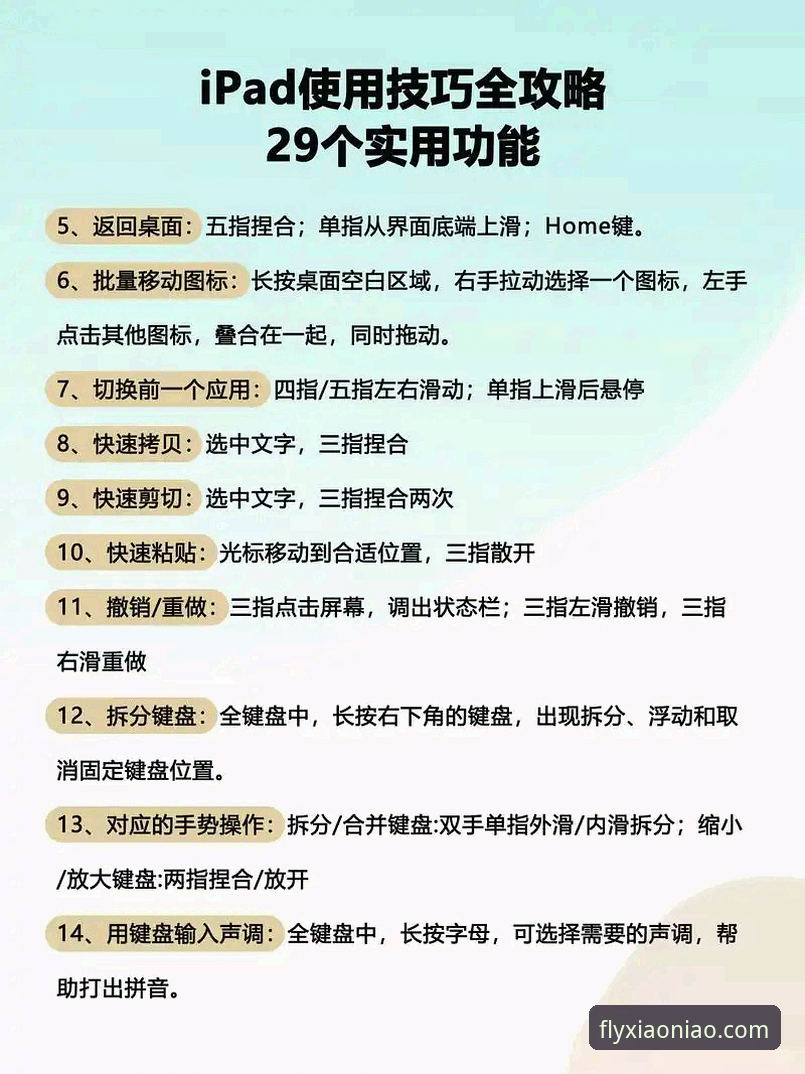 小鸟体育手机版怎么样 小鸟体育手机版体验详解:移动端功能与使用指南