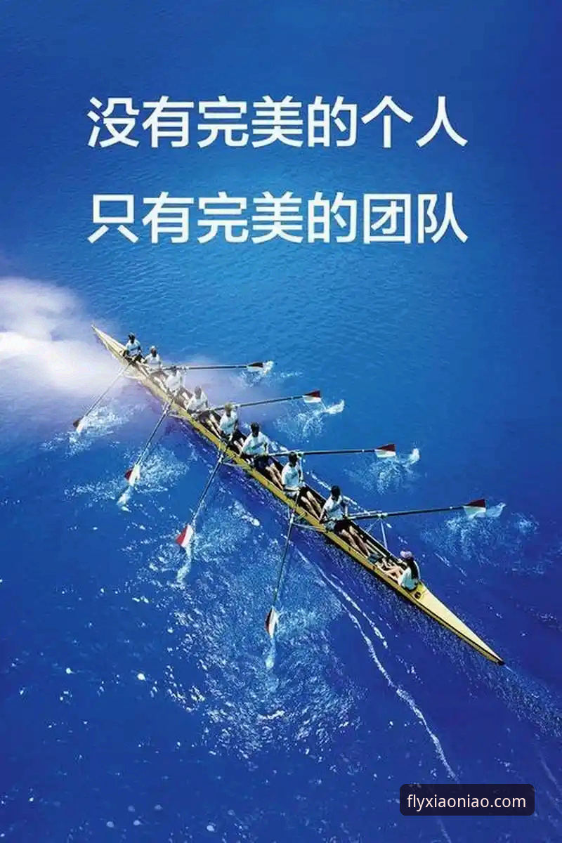 小鸟体育官方入口手机版 小鸟体育官方入口手机版全面评测:从下载到实战的完整指南
