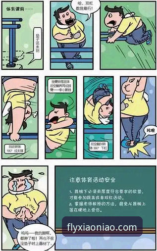 小鸟体育官网 小鸟体育官网 vs 传统体育平台:移动端体验与安全性的全面对比分析